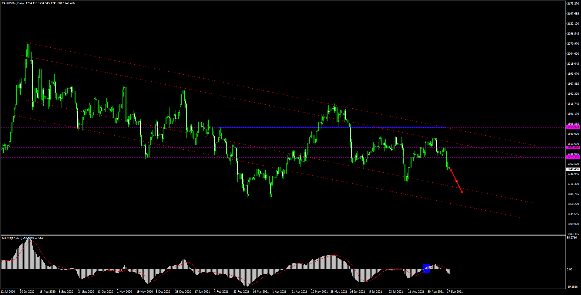 contoh transaksi sell stop forex